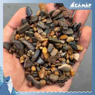 . Cát, Sỏi, Sạn Suối, Đá Cuội Trải Nền Hồ Cá Tép, Thuỷ Sinh Hồ Biotope, Hồ Bán Cạn | Cá Mập Aqua ,.