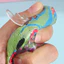 Đồ chơi bóp cá Tpr tăng chậm Giảm căng thẳng Fidget Tiện ích giải nén hình cá dễ thương cho trẻ em Người lớn Đồ chơi giác quan hoàn hảo để thư giãn và tập trung Pinch Căng thẳng Ba