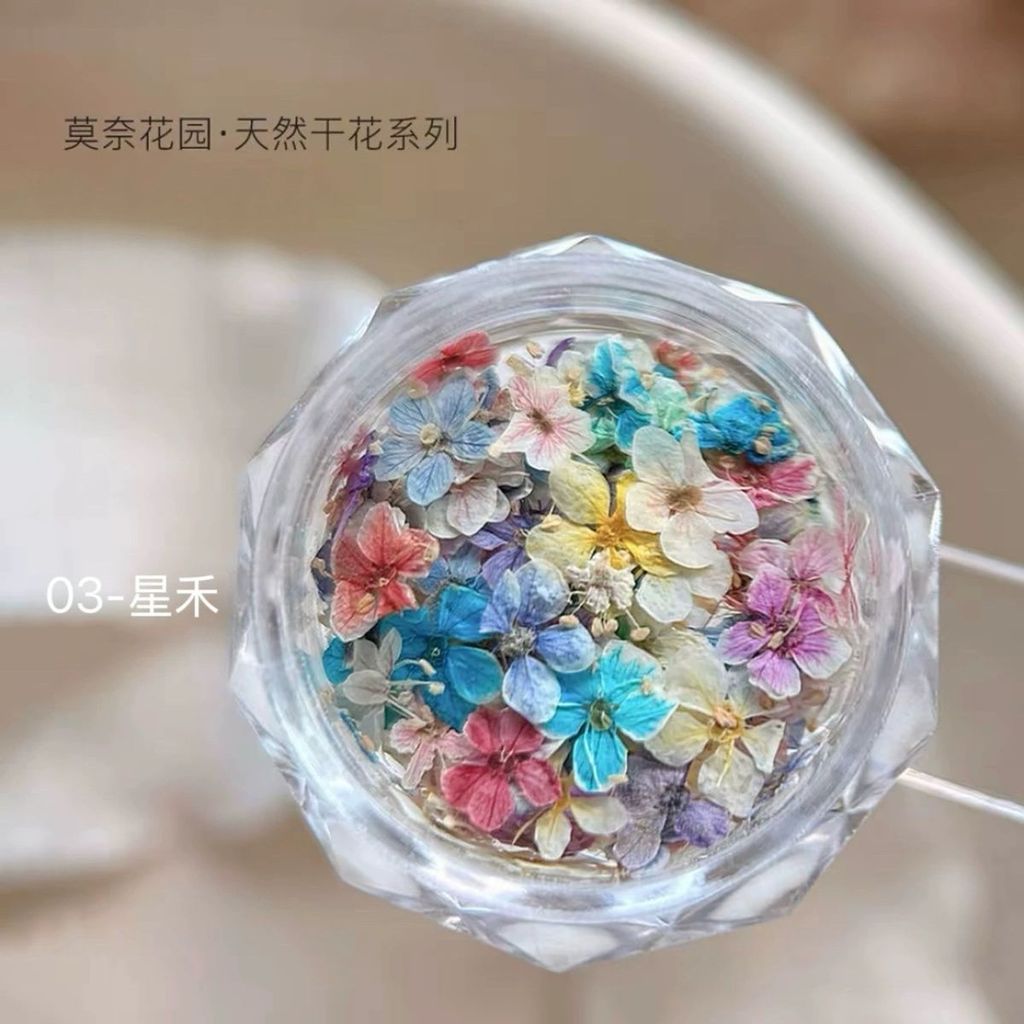 Làm Móng Tay Hoa Khô Chất Liệu Hỗn Hợp Monet Garden Mini Năm Cánh Chất Liệu Hoa Tím Nhỏ Hoa Tự Làm Móng Tay Trang Sức