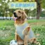 【Ready Stock】 Dog Lightweight Sun Protection UV-Resistant Cool Clothes Summer Days Pet Teddy Maltese Cooling Sling ugRE