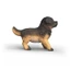 Schleich Đức 2026 Đức Shepherd Puppy Mô hình động vật Đồ chơi trẻ em 14925