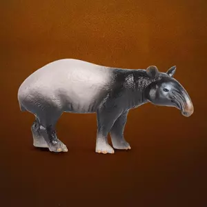 Thế giới động vật ma thuật cho trẻ em Đồ chơi Tapir Mã Lai Mô phỏng nhận thức Mô hình sinh học tiền sử Thời đại cổ Vườn Khoa học phổ biến