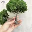 HFTOY 1 Cái DIY Cây Ăn Quả Thu Nhỏ Trang Trí Cảnh Quan Thu Nhỏ Cát Bàn Xây Dựng Mô Hình Thực Tế Trang Trí Cây Quả ~