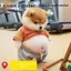 Nhãn dán chó con dễ thương 3D có thể bóp được Shiba Inu Vỏ điện thoại Trang trí tiệc sinh nhật cho trẻ em Đồ dùng lễ hội mới