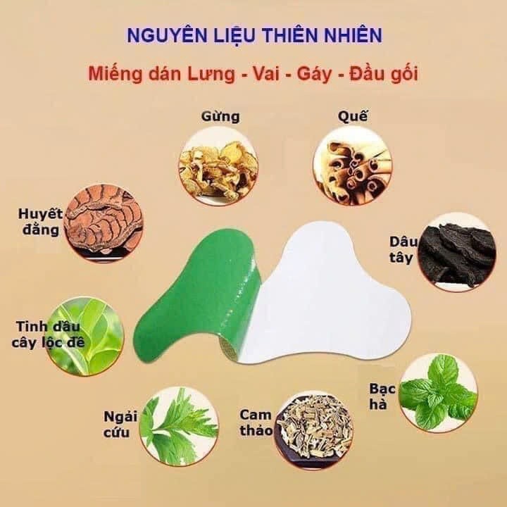 Combo 10 Hộp Miếng Dán Ngải Cứu Trị Đau Cổ Vai Gáy Toàn Thân Hộp 12 Miếng