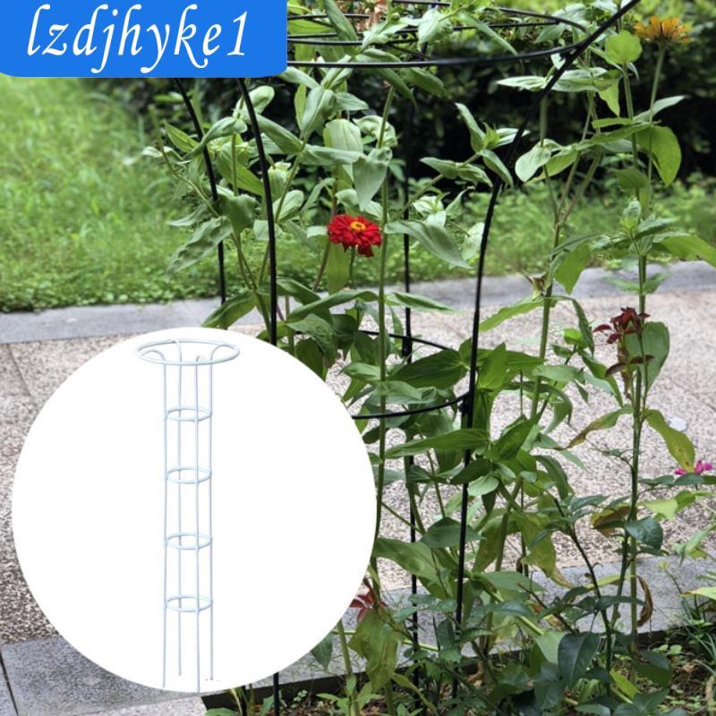 Vườn Obelisk Trellis Cây Kim Loại Trellis Chắc Chắn Hoa Đứng Dụng Cụ Làm Vườn Leo Khung Cho Hoa Hồng Hoa Chậu Cây