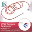 Cảm biến nhiệt độ PT100 RTD 6mmx80mm Class B 2M Gel tráng dây kháng lực Pt 100 Thép không gỉ
