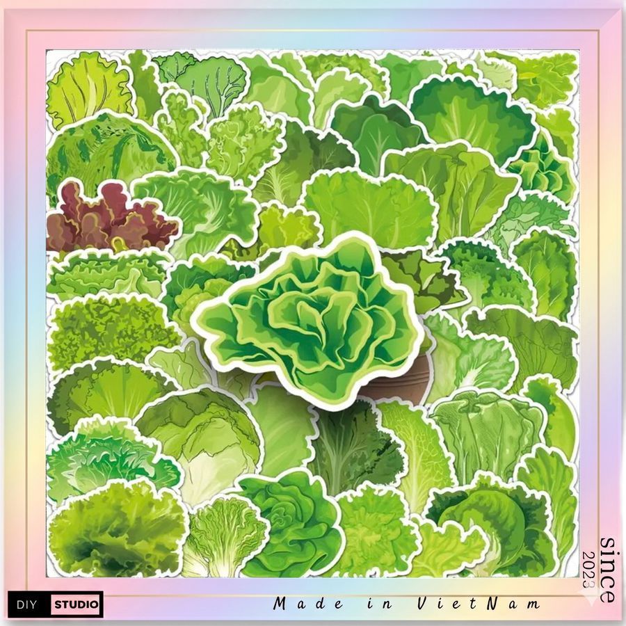 Set 100 hình sticker Cây Rau Xà Lách  sticker chống nước hình dán notebook sổ tay hoặc làm bài tập liên quan đến cây