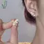 Bông Tai Zircon Hình Hoa Dễ Thương Cho Nữ, Thiết Kế Tinh Tế Phong Cách Cổ Tích