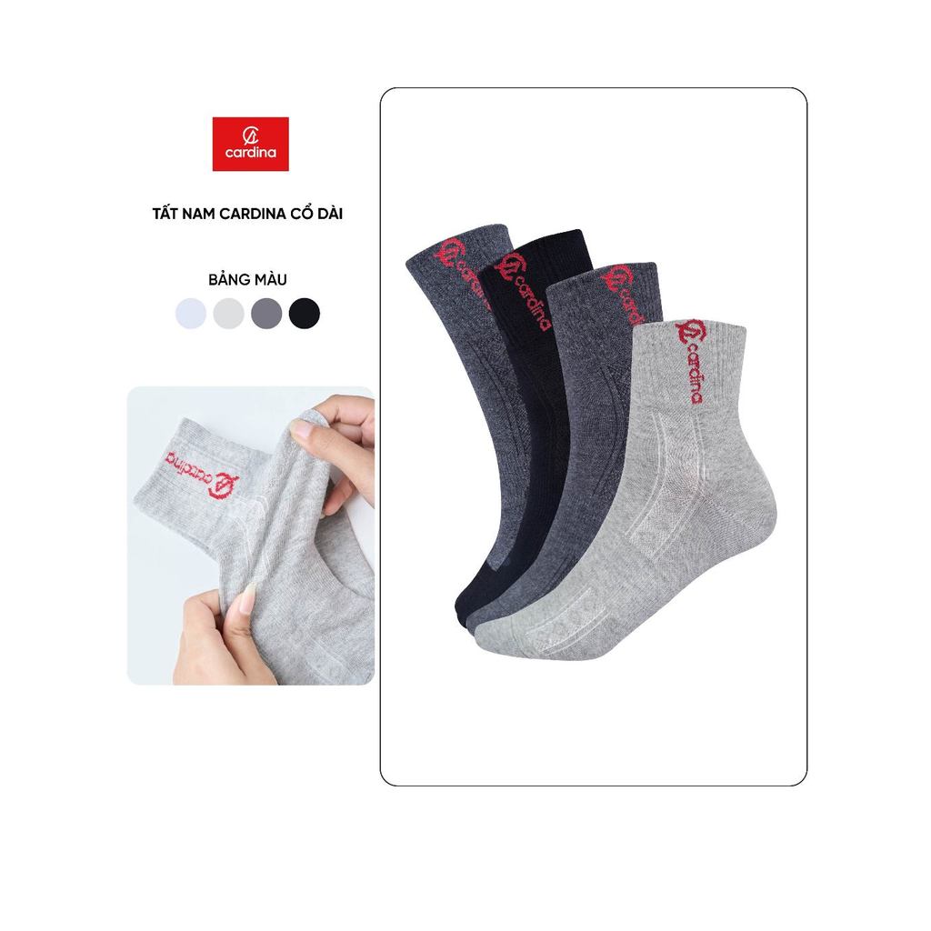 Tất nam CARDINA cao cấp cổ cao khử mùi chất liệu sợi tre thiên nhiên giao màu ngẫu nhiên TMD