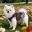 【Ready Stock】 Spring and Summer New Cat and Dog Clothes Bow Dress Teddy Bichon York Summer Pomeranian Sleeveless Princess Dress 7qSo