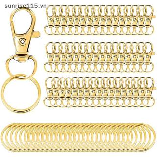 SRVN 100 Chiếc Móc Khóa Kẹp Móc Xoay Khóa Dây Chụp Móc Tôm Hùm Móng Vuốt Khóa, Móc Khóa DIY Trang Sức Thủ Công.