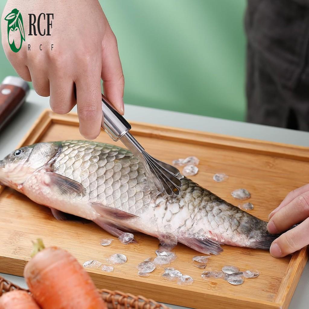 Dụng cụ cạo thịt dừa bằng thép không gỉ - Dụng cụ gọt vỏ nhà bếp đa năng Máy thái lát cá
