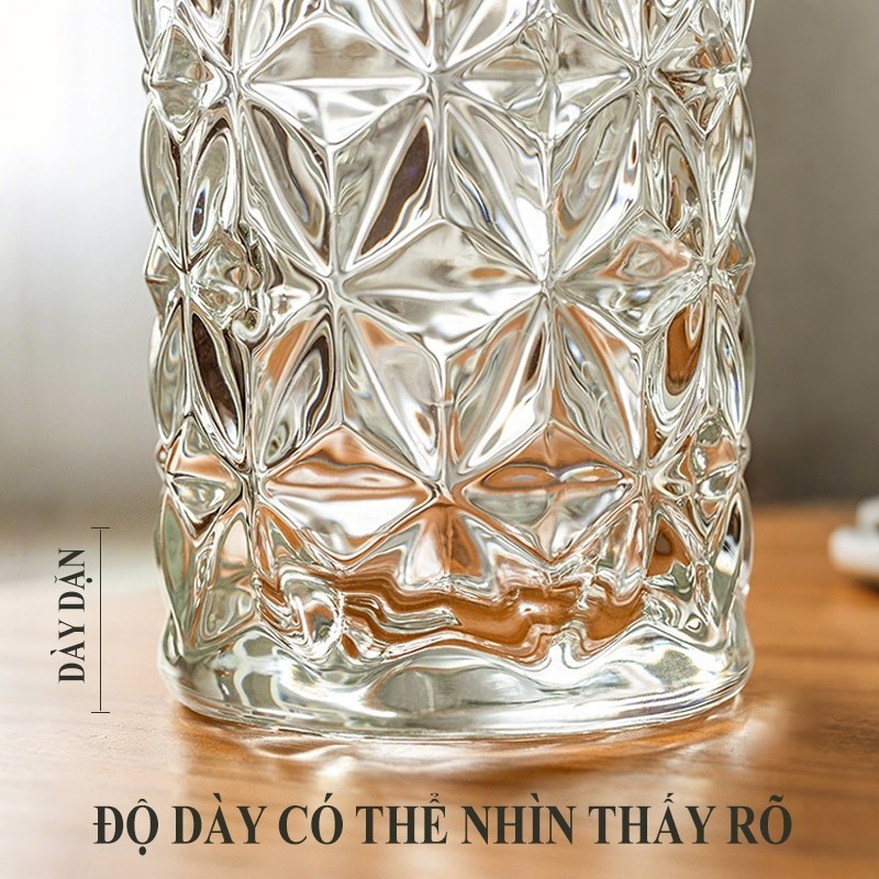 Bình Hoa Thủy Tinh đa năng, dáng trụ 20cm cao cấp, dùng để cắm hoa trang trí cho mọi không gian