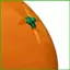 3D In Hình Trái Cây Fidget Citrus Hình Đồ Chơi Giảm Căng Thẳng Xoắn Trái Cây Fidget Bóng Dành Cho Học Sinh Nam Nữ Học saixit2vn