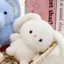 16cm Thế Giới Động Vật Sang Trọng Đồ Chơi Voi Gấu Trúc Thỏ Trắng Động Vật Rừng Thoải Mái Playmate Búp Bê Bình Tĩnh Quà Tặng Giáng Sinh [Mới]