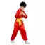 Trang phục NICOLOO Wushu, Đồng phục Kungfu dài tay Wushu Performance, Thời trang truyền thống có thắt lưng Võ thuật Đồng phục trẻ em