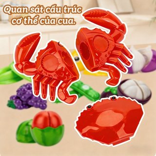Bộ đồ chơi cắt rau củ quả – Hộp bí ngô đựng, nhiều món vui nhộn – Nhựa an toàn, màu sắc bắt mắt – Rèn kỹ năng tay mắt