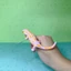 Sile 2024 Hồng thằn lằn Salamander Mô phỏng Mô hình động vật Đồ chơi trẻ em Đồ trang trí nhận thức