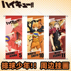 Bóng chuyền Junior Tranh Poster Hyuga Kageyama Mài Kuroomiyaji Miyayu Lụa Cuộn Anime Hai Chiều 26.4.14