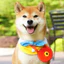 Chó Dễ Thương Khăn Buộc Khăn Nhỏ Shiba Inu Nước Bọt Khăn Tam Giác Khăn Phụ Kiện Khăn Có Thể Điều Chỉnh Khăn