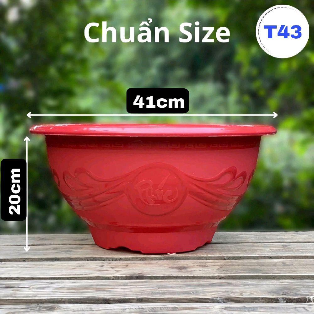 [ 5 cái ] Chậu nhựa T43 loại dày ( 41cm×20cm ) hàng xuất khẩu, chậu nhựa trồng cây