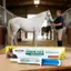 Ngựa Dewormer Dán Ngựa Chống Giun Kem Ngựa Bay Đi Dán Cho Trang Trại Ổn Định Barn Stall Ngoài Trời Sân Sau jiwvn