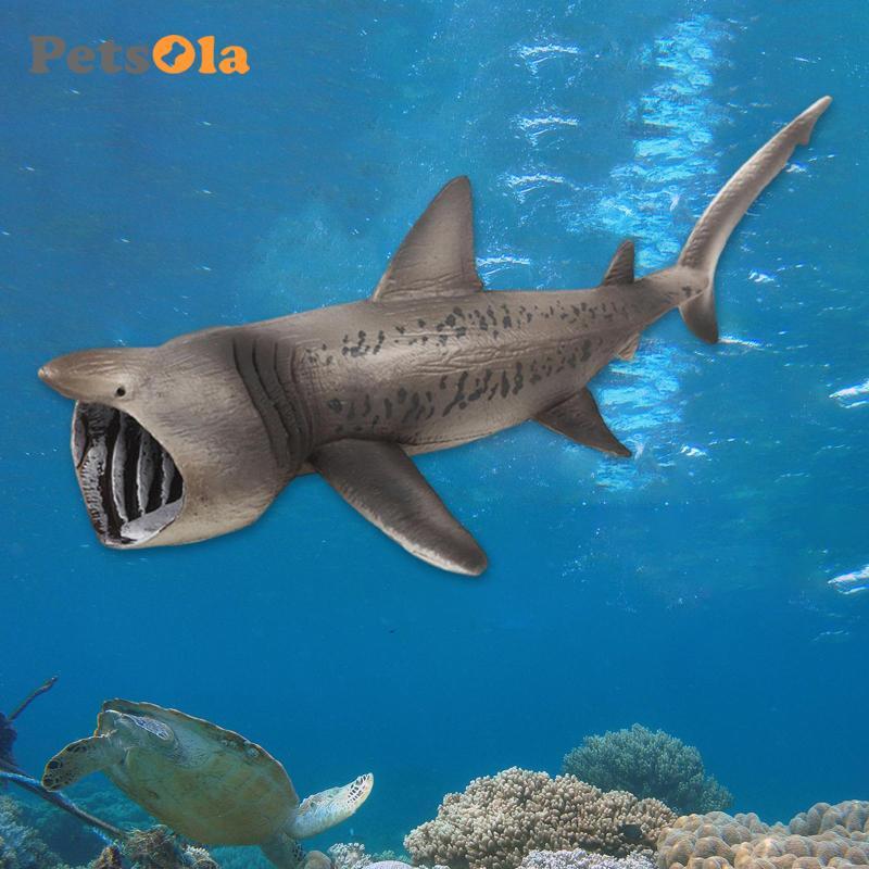 Basking Shark Mô Hình Bộ Sưu Tập Mô Hình Playset Giáo Dục Đồ Chơi Học Tập Sinh Vật Nhân Vật Bộ Sưu Tập Chơi Giảng Dạy