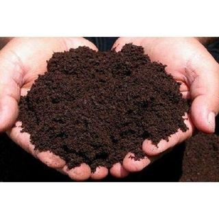 Phân trùn quế bón hoa, rau củ quả cực tốt và không bị sót cây, cây khoẻ - hàng công ty loại 1