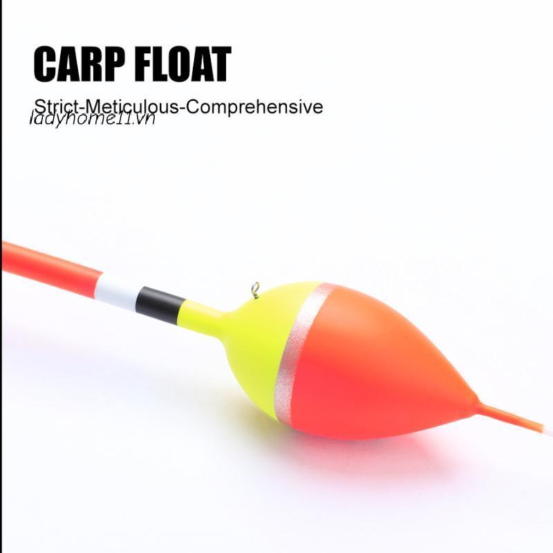 Linh sam 5 chiếc phao câu cá 18cm-22.5cm, trọng lượng 1g-4g cho việc câu cá chép