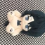 Mười Ngày Cuối Tiểu Thuyết Thuộc Tính Chen Junnan 20cm Búp Bê Cotton Hàng Hóa q-Version Búp Bê Ngày Lễ Sang Trọng Quà Tặng 4.18