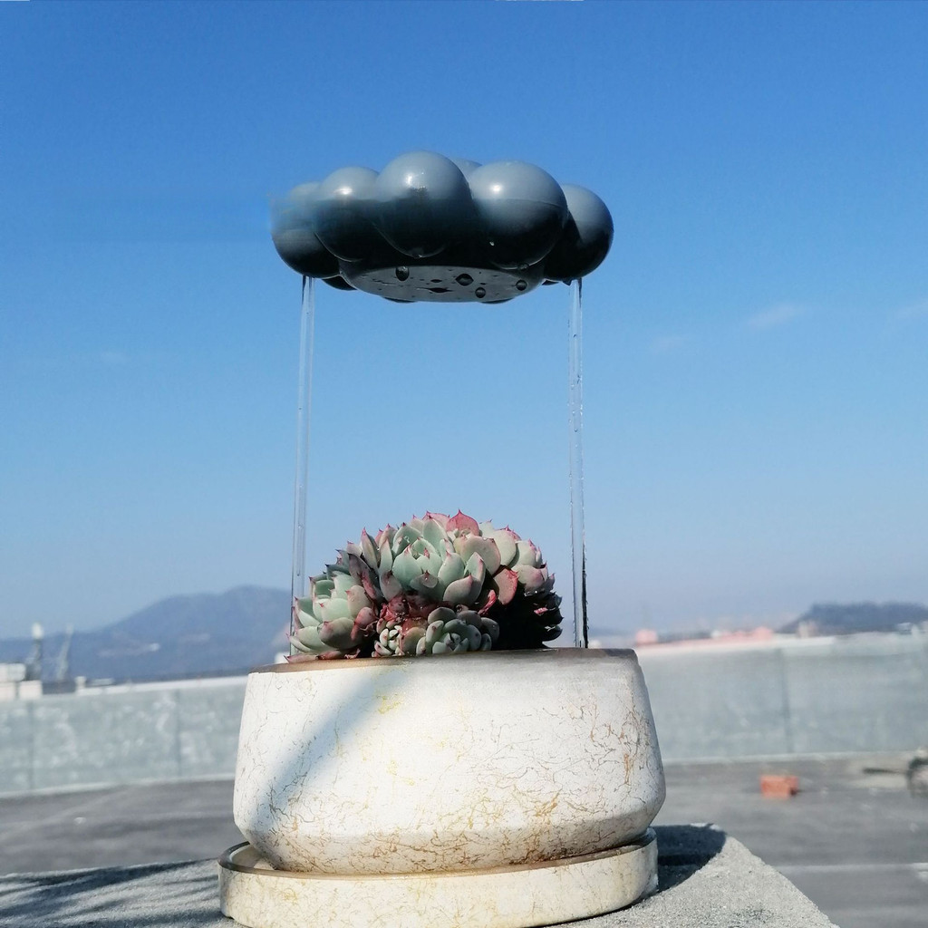 Sân Cây Trang Trí Sân Vườn Trang Trí Cây Tưới Cây Mưa Mây PlantWaterRainCloud12.17