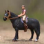 Đức Sile cưỡi ngựa cưỡi ngựa cưỡi ngựa cưỡi ngựa bỏ túi ngựa Rider cảnh đồ chơi mô hình