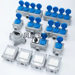 Ổ cắm chống cháy nổ Công tắc chống cháy nổ 220V10A16A Ổ cắm công tắc treo tường năm lỗ chống cháy nổ @