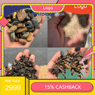 . Cát, Sỏi, Sạn Suối, Đá Cuội Trải Nền Hồ Cá Tép, Thuỷ Sinh Hồ Biotope, Hồ Bán Cạn | Cá Mập Aqua ,.
