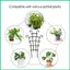 Trellis cho cây leo trong nhà 12 miếng cọc nhỏ có thể xếp chồng lên nhau Cọc cây trong nhà cho cà chua rau hồng jiwvn