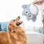 【Ready Stock】 Dog Toy Sound Self-Hi Relieving Stuffy Molars Bite Not Bad Teddy Corgi Bichon Gold Plush Pet Supplies MuoP