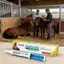 Ngựa Dewormer Dán Ngựa Chống Giun Kem Ngựa Bay Đi Dán Cho Trang Trại Ổn Định Barn Stall Ngoài Trời Sân Sau jiwvn
