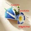 Kẹp Tóc Mỏ Vịt Phong Cách Hawaii & Ngựa Hoa Sen - Perfect Cho Chụp Ảnh Bãi Biển
