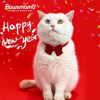 Hàng Mới Về! Mèo Cá Tính Màu Đỏ Nhung Cổ Chó Con Thẻ Tùy Chỉnh Cổ Áo
