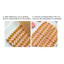 TUYỆT VỜI Máy Cắt Đất Sét Polymer, Tạo Kiểu Nhanh Bông Tai Đất Sét PLA, Công Cụ Tạo Kiểu DIY Cánh Hoa Khuôn Ren Viền Hình Học Máy Cắt Đất Sét Nhà Thủ Công