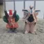 Gallagon Monster Búp bê cao su mềm Daina Đầu cơ ba mặt Quái thú Đồ chơi trẻ em Trang trí thủ công Quà tặng nam