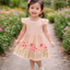 Váy Thêu Hoa Cho Bé Gái size nhí 6-15kg - đầm bé gái Thiết Kế Cánh Tiên Xinh Xắn