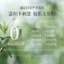 Tea Tree Blackhead Removal Set Hộp Hòa tan Loại bỏ mụn đầu đen Chất lỏng Làm sạch tiện dụng Dụng cụ thu nhỏ lỗ chân lông Tinh chất mụn Miếng dán mũi nước 4.13