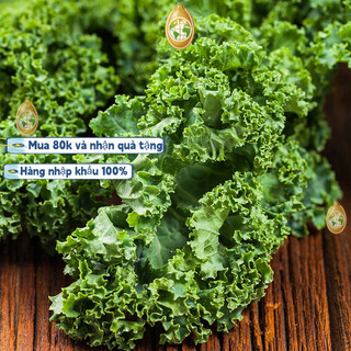Hạt giống cải kale xoăn xanh Mỹ  - 2 gKhoảng 100 viên thuốc，ram (hạt chuẩn không lẫn)k009