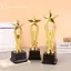 Ge 1 Trẻ Em Giải Thưởng Cúp Đồ Chơi Ngôi Sao Nhựa Trophies Cho Trẻ Em Cuộc Thi Phần Thưởng Giải Thưởng Đảng Ủng Hộ Quà Tặng n