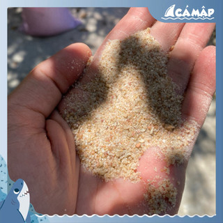 . Cát, Sỏi, Sạn Suối, Đá Cuội Trải Nền Hồ Cá Tép, Thuỷ Sinh Hồ Biotope, Hồ Bán Cạn | Cá Mập Aqua ,.