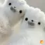 <![KvJJL-t] Khăn quàng cổ hình người tuyết và găng tay năm ngón ấm áp, phù hợp làm quà tặng Giáng sinh