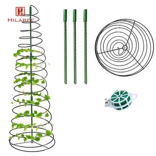 Vườn trong nhà Trellis Khung xoắn ốc bằng kim loại Hỗ trợ cây leo leo Tiết kiệm không gian Lưới sân vườn