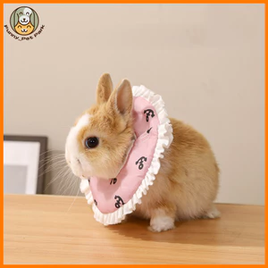 Thú Cưng Nhỏ Cổ Elizabethan Màu Điện Tử Cho Đường Glider Chuột Lang Thỏ Chống Liếm Bảo Vệ Nón Phục Hồi Đồ Dùng Cho Thú Cưng